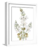 Mughal Collection VI-Kristine Hegre-Framed Giclee Print