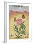 Mughal Miniature Painting Depicting a Peony with Birds of Paradise and Butterflies-Stapleton Collection-Framed Giclee Print