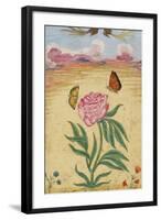 Mughal Miniature Painting Depicting a Peony with Birds of Paradise and Butterflies-Stapleton Collection-Framed Giclee Print