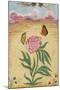 Mughal Miniature Painting Depicting a Peony with Birds of Paradise and Butterflies-Stapleton Collection-Mounted Giclee Print