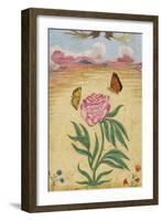 Mughal Miniature Painting Depicting a Peony with Birds of Paradise and Butterflies-Stapleton Collection-Framed Giclee Print