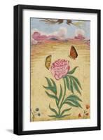 Mughal Miniature Painting Depicting a Peony with Birds of Paradise and Butterflies-Stapleton Collection-Framed Giclee Print