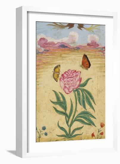 Mughal Miniature Painting Depicting a Peony with Birds of Paradise and Butterflies-Stapleton Collection-Framed Giclee Print