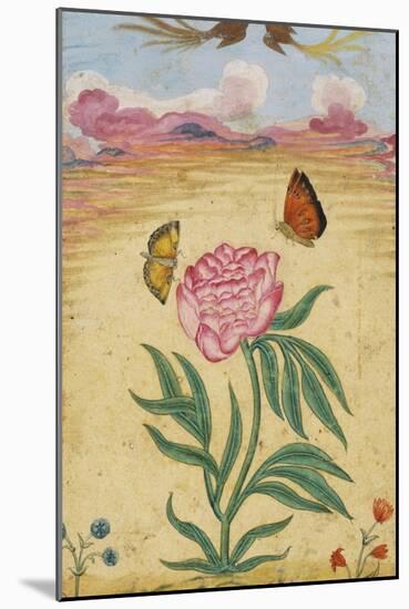 Mughal Miniature Painting Depicting a Peony with Birds of Paradise and Butterflies-Stapleton Collection-Mounted Giclee Print