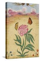 Mughal Miniature Painting Depicting a Peony with Birds of Paradise and Butterflies-Stapleton Collection-Stretched Canvas