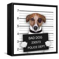 Mugshot Dog-Javier Brosch-Framed Stretched Canvas