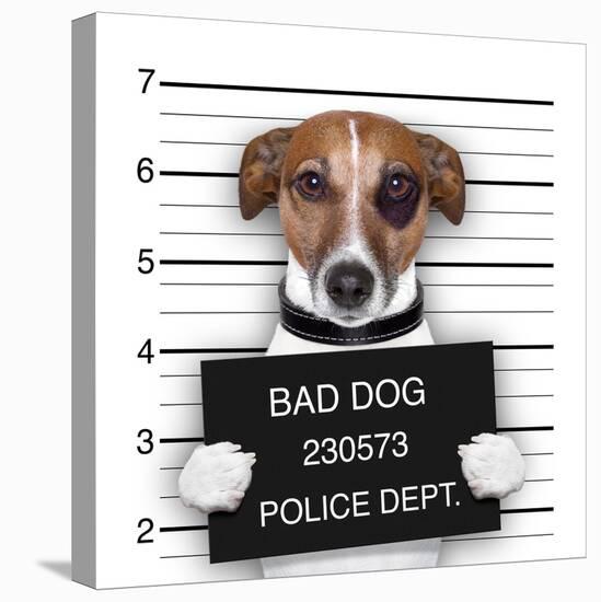 Mugshot Dog-Javier Brosch-Stretched Canvas