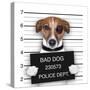 Mugshot Dog-Javier Brosch-Stretched Canvas