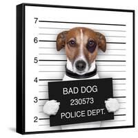 Mugshot Dog-Javier Brosch-Framed Stretched Canvas