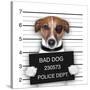 Mugshot Dog-Javier Brosch-Stretched Canvas