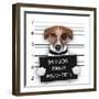 Mugshot Dog-Javier Brosch-Framed Photographic Print