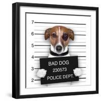 Mugshot Dog-Javier Brosch-Framed Photographic Print