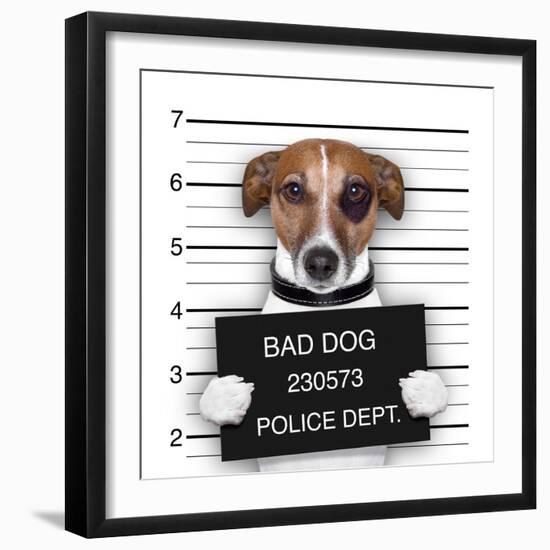 Mugshot Dog-Javier Brosch-Framed Photographic Print