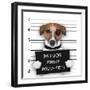 Mugshot Dog-Javier Brosch-Framed Photographic Print