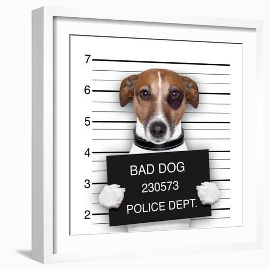 Mugshot Dog-Javier Brosch-Framed Photographic Print