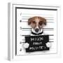 Mugshot Dog-Javier Brosch-Framed Photographic Print