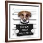 Mugshot Dog-Javier Brosch-Framed Photographic Print