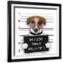 Mugshot Dog-Javier Brosch-Framed Photographic Print