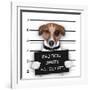 Mugshot Dog-Javier Brosch-Framed Photographic Print