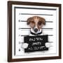 Mugshot Dog-Javier Brosch-Framed Photographic Print