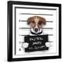 Mugshot Dog-Javier Brosch-Framed Photographic Print