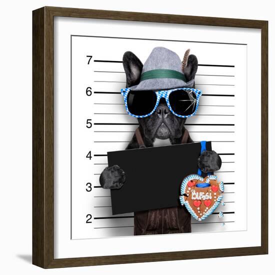 Mugshot Dog-Javier Brosch-Framed Photographic Print