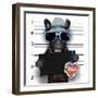 Mugshot Dog-Javier Brosch-Framed Photographic Print