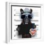 Mugshot Dog-Javier Brosch-Framed Photographic Print