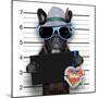 Mugshot Dog-Javier Brosch-Mounted Photographic Print