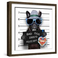 Mugshot Dog-Javier Brosch-Framed Photographic Print