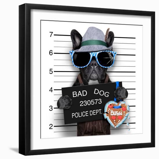 Mugshot Dog-Javier Brosch-Framed Photographic Print