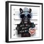 Mugshot Dog-Javier Brosch-Framed Photographic Print