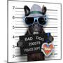 Mugshot Dog-Javier Brosch-Mounted Photographic Print