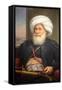 Muhammad Ali of Egypt (1769-1849) by Auguste Couder 1840-Chris Hellier-Framed Stretched Canvas