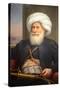 Muhammad Ali of Egypt (1769-1849) by Auguste Couder 1840-Chris Hellier-Stretched Canvas