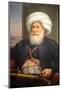 Muhammad Ali of Egypt (1769-1849) by Auguste Couder 1840-Chris Hellier-Mounted Photographic Print