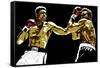 Muhammad Ali - Sting Like a Bee-Emily Gray-Framed Stretched Canvas