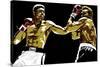 Muhammad Ali - Sting Like a Bee-Emily Gray-Stretched Canvas