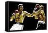 Muhammad Ali - Sting Like a Bee-Emily Gray-Framed Stretched Canvas