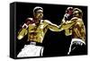 Muhammad Ali - Sting Like a Bee-Emily Gray-Framed Stretched Canvas
