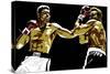 Muhammad Ali - Sting Like a Bee-Emily Gray-Stretched Canvas