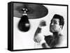 Muhammad Ali, The Greatest-Science Source-Framed Stretched Canvas
