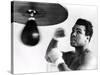 Muhammad Ali, The Greatest-Science Source-Stretched Canvas