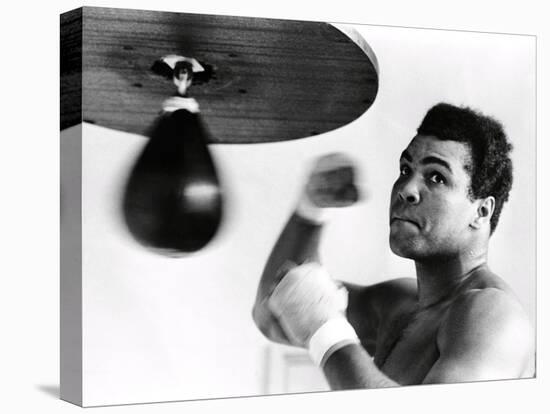 Muhammad Ali, The Greatest-Science Source-Stretched Canvas