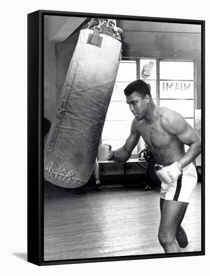 Muhammad Ali Training at the 5th Street Gym, Miami Beach, 27 September 1965-null-Framed Stretched Canvas