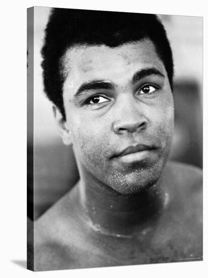 Muhammad Ali-John Shearer-Stretched Canvas