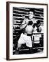 Chelsea Espresso