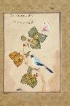 A Bird on a Hazel Branch-Muhammad Shafi Abbasi-Giclee Print