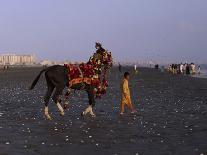 Afghanistan Daily Life-Muhammed Muheisen-Photographic Print