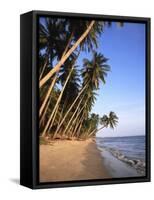 Mui Ne Beach, South-Central Coast, Vietnam-Gavin Hellier-Framed Stretched Canvas